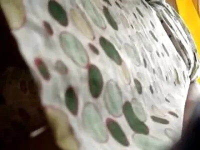 З зав'язаними очима аматорська красуня трахкав обличчя сестри порно