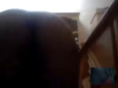 Злодій робить мінет секс брата і сестри і отримує грубий трах
